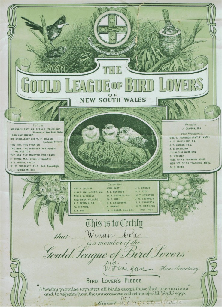Image inserted. Gould League of Bird Lovers of New South Wales Certificate c. 1914. Private collection, courtesy Janette Pelosi.